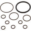 O-Ring Kit, Pentair Racer, Feed Line 360268