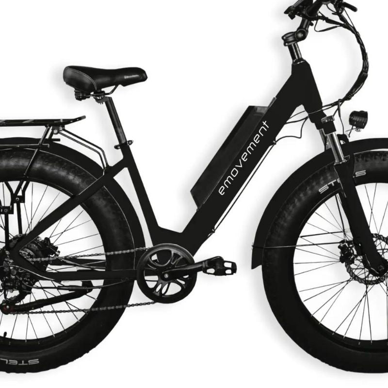 E-Movement Aries Fat Tyre Step Through Mountain E-Bike 250W