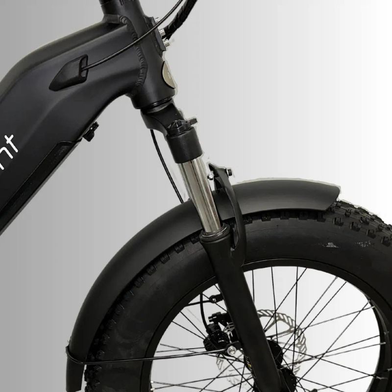 E-Movement Raven Long Range Step-Through Fat Electric Bike 250W