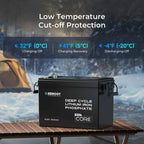 Renogy Core Mini - LiFePO4 12.8V  300/200/100Ah Lithium Batteries