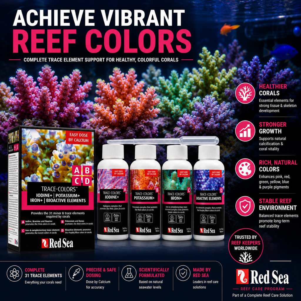 Red Sea Coral Colours 4 x 100ml Complete Set - R22040