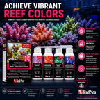 Red Sea Coral Colours 4 x 100ml Complete Set - R22040