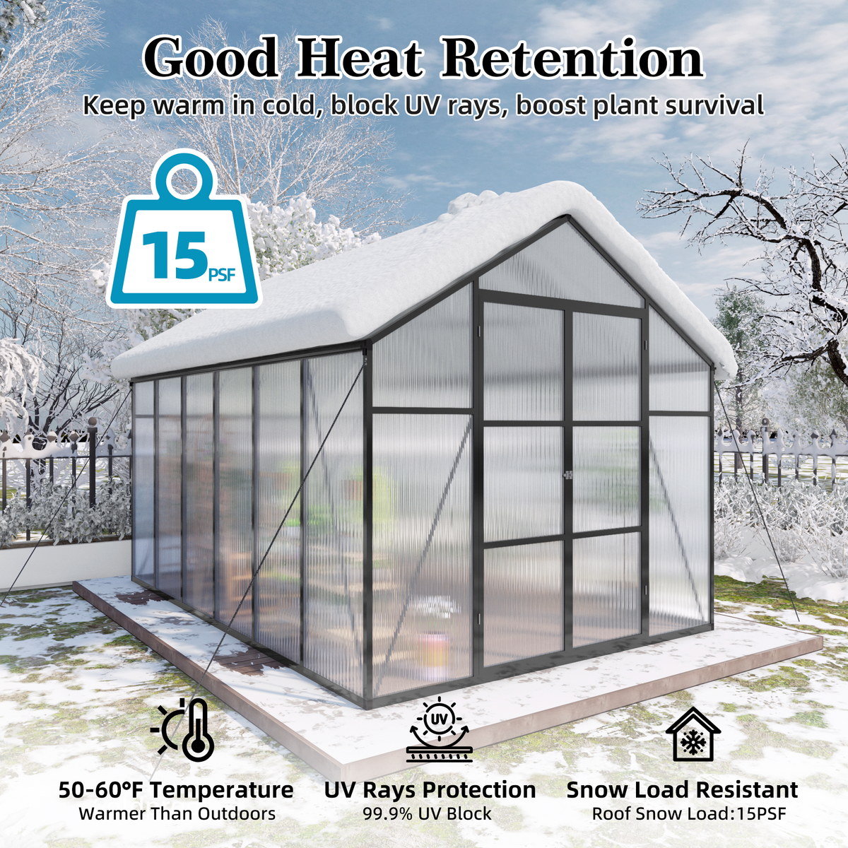Newly Designed Greenhouse 8x12 FT