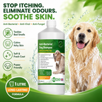 Aqueos Medicated Dog Shampoo 1 Litre Anti Fungal Bacterial Viral Itch Relief