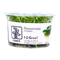 Tropica  1-2 Grow ! Ranunculus Live Aquarium Plant