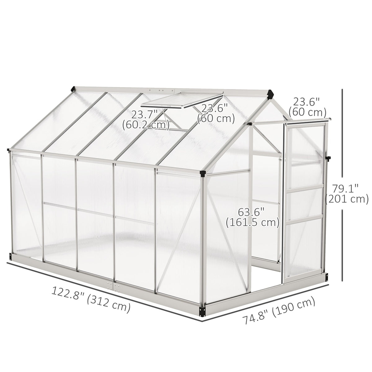 BloomGreen 6' x 10' x 6.6' Polycarbonate Greenhouse with Aluminum Frame, Silver