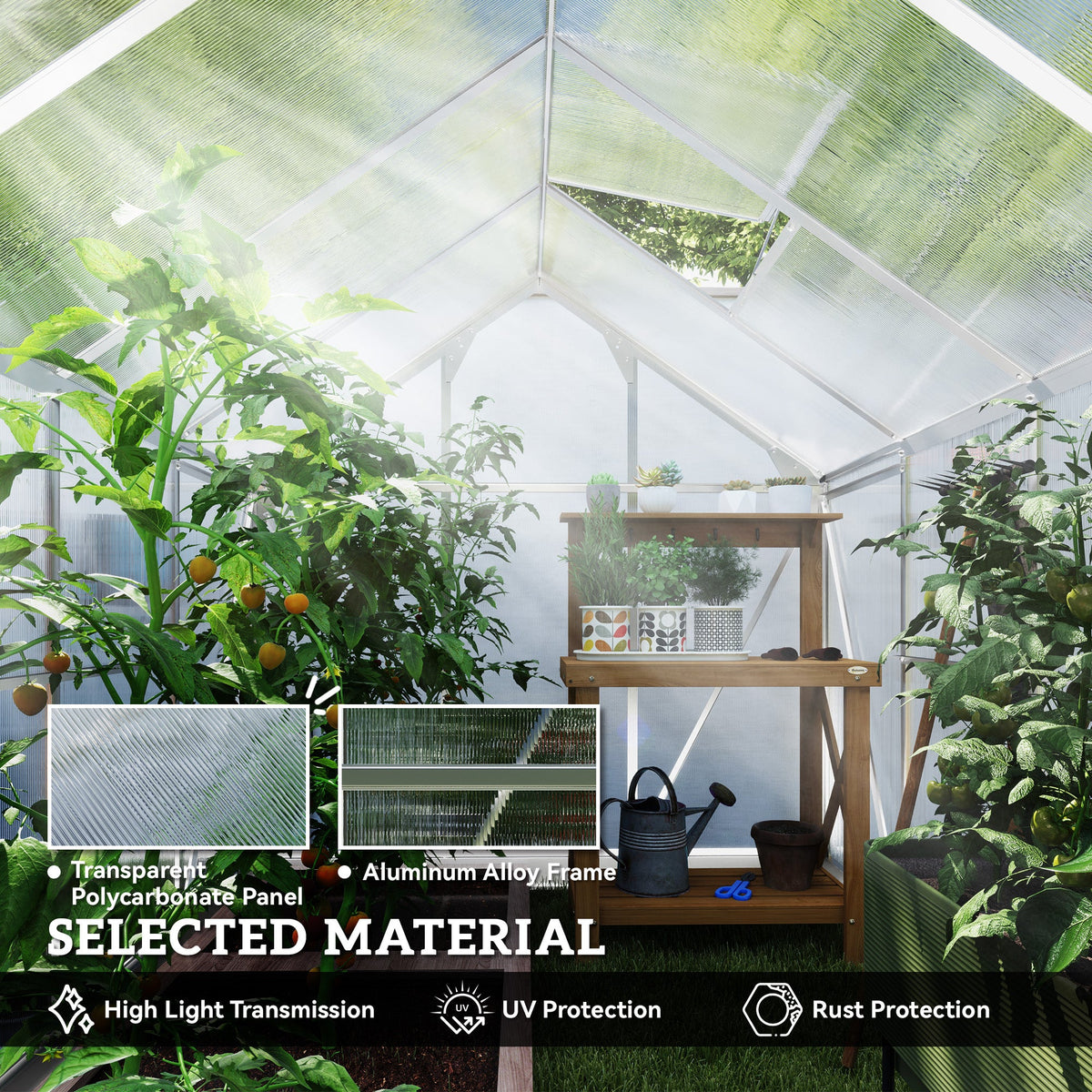 BloomGreen 6' x 10' x 6.6' Polycarbonate Greenhouse with Aluminum Frame, Silver