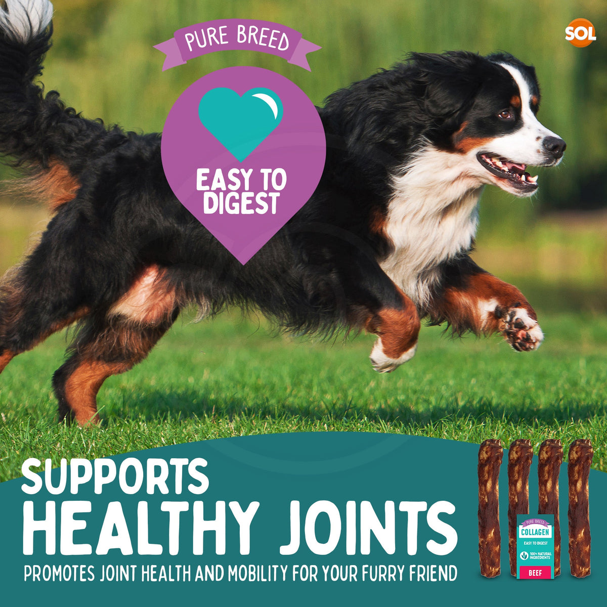 4-12pk Collagen Dog Treats Beef Chewy Rolls Large Long Lasting Easy Digest Joint