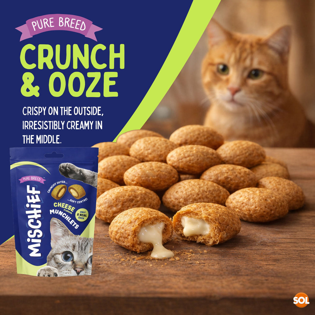 6-12pk Cat Pillow Chews Cheese Crunchy Cat Treats 125g Training Bulk Snack