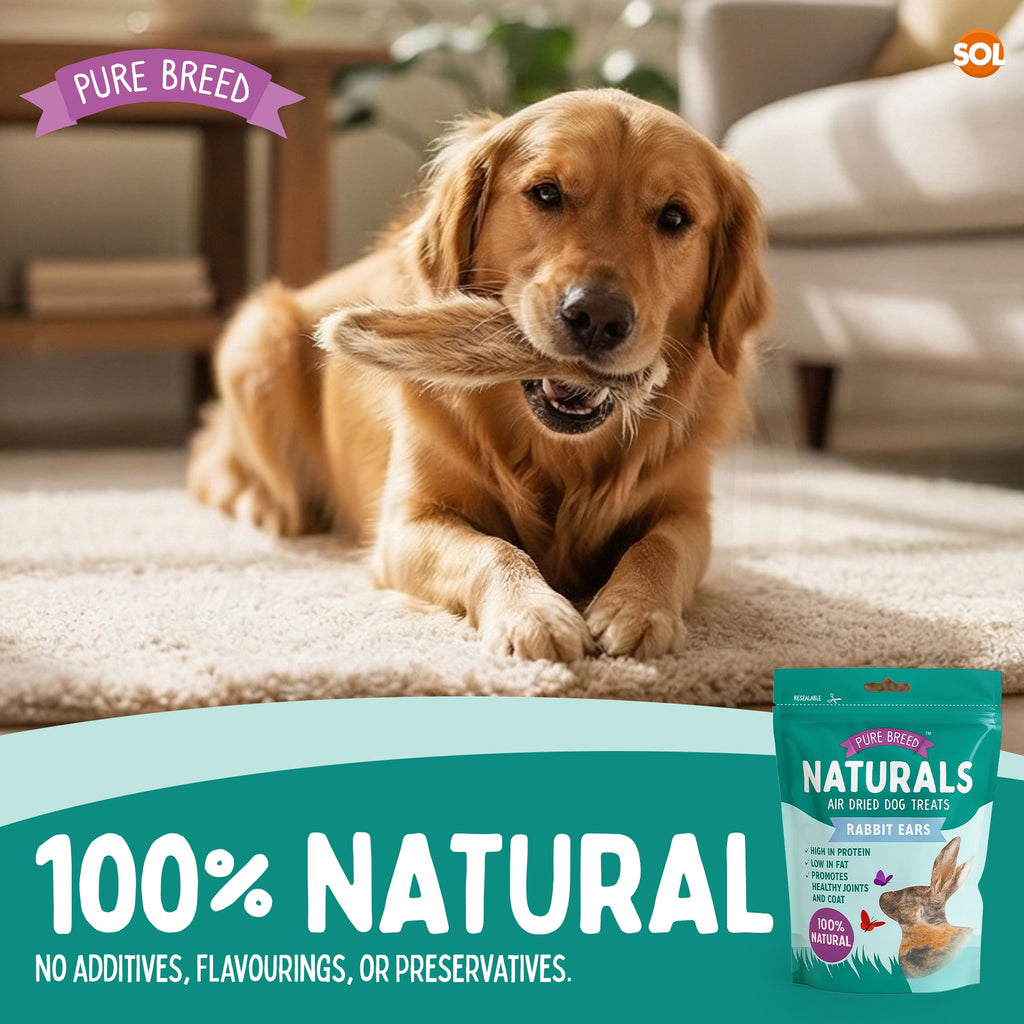 Pure Breed Rabbit Ears with Fur for Dogs – 300g (6 × 50g Bags) 100% Natural Air-Dried Chews Long-Lasting Snacks Grain-Free Single Ingredient Low Calories Rabbits Ears with Fur For Dogs Happy Pooch