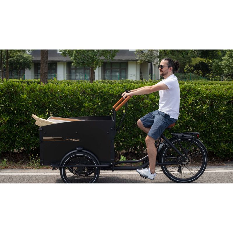 Aitour Cargo Electric Bike - Starter 250W