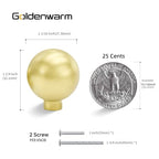 Goldenwarm 10 Pack Gold Cabinet Knobs Kitchen Knobs for Cabinets - color: Brushed Gold