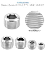 QWORK 304 Stainless Steel Pipe Fitting Kit Hex Countersunk Plug Assortment Set with NPT Male Thread 16 Pcs