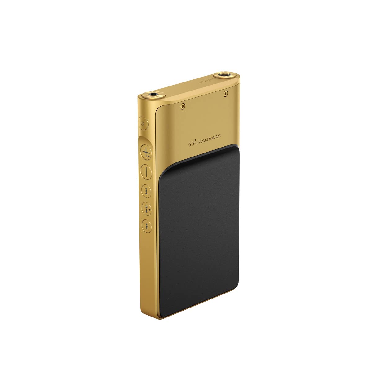 Certified Refurbished - SONY NWWM1ZM2 MP3 Players