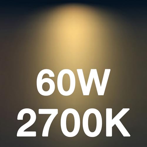 FLSNT 60W Equivalent LED Chandelier Light Bulbs, Dimmable, E12 Base, Clear B11 LED Filament Candelabra Bulbs, 2700K Soft White, 12 Pack - color: 2700k Soft White, size: 6 Count (Pack of 2)