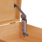 T Tulead Spring Lid Support Light Duty Spring Hinges 2PCS