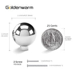Goldenwarm 10 Pack Chrome Cabinet Knobs Kitchen Knobs for Cabinets - color: Polished Chrome