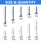 Pocket Hole Screws 660 PCS, 5 Sizes #8 x 1 to 2-1/2" Coarse Thread Wood - color: 660PCS(Blue Coated & Zinc Coated)