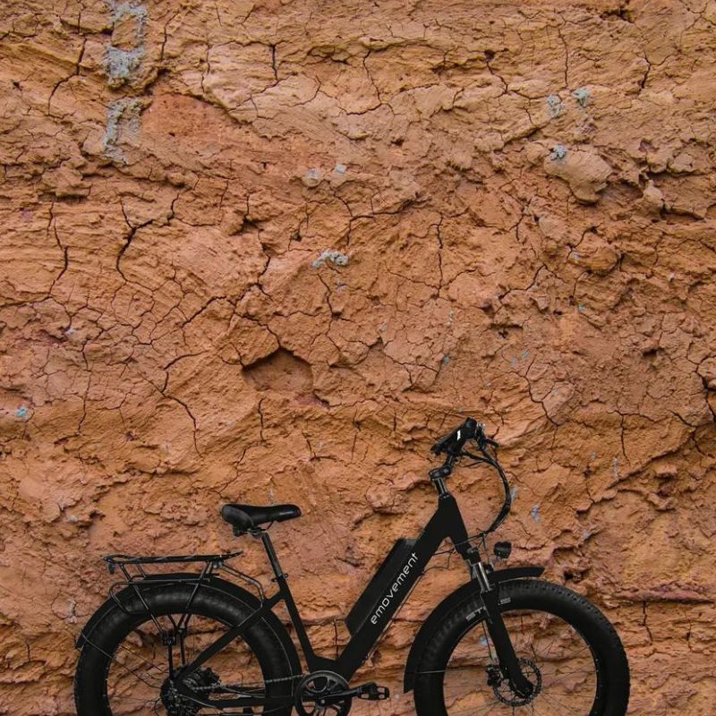 E-Movement Aries Fat Tyre Step Through Mountain E-Bike 500W