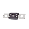 Skyenergi MEGA fuse 100A 80V