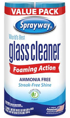 Sprayway Glass Cleaner Foaming Aerosol Spray, 19oz, Pack of 2 | Ammonia-Free, Streakless, Fast-Acting | Cleans & Polishes Glass Surfaces | Fresh Scent, Removes Fingerprints, Dust, Dirt, Smoke Film