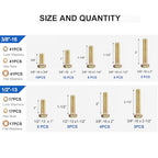 780PCS Bolt and Nut Assortment Kit - size: 780pcs 1/4"-20 5/16"-18 3/18"-16 1/2"-13