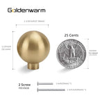 Goldenwarm 10 Pack Champagne Bronze Cabinet Knobs Drawer Knobs - color: Champagne Bronze