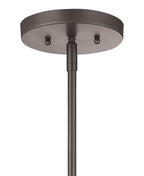 Open Box - Minka Lavery 4102-66 - Pendants Indoor Lighting