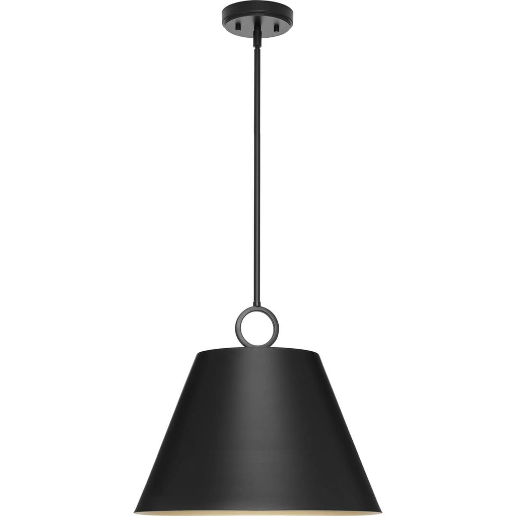 Open Box - Progress Lighting P500368-31M - Pendants Indoor Lighting