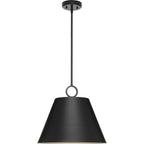 Open Box - Progress Lighting P500368-31M - Pendants Indoor Lighting