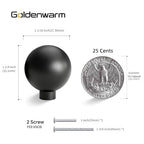 Goldenwarm 10 Pack Black Cabinet Knobs Kitchen Knobs for Cabinets - color: Black