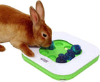 Interactive Toy for Small Pets: Living World Teach 'N Treat