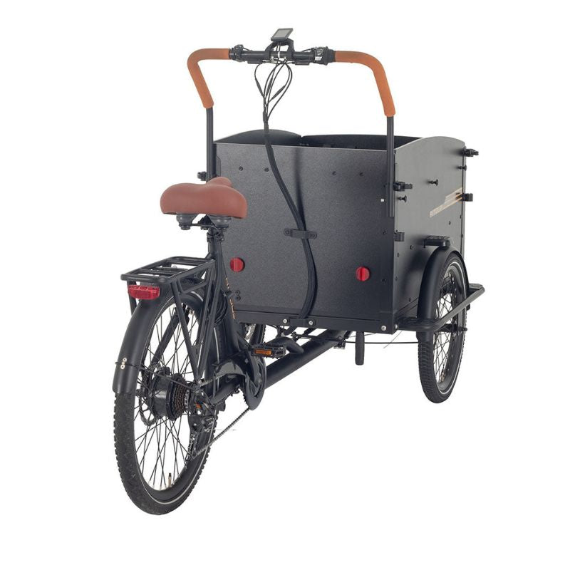 Aitour Cargo Electric Bike - Starter 250W