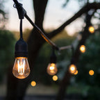 4lite Festoon Lighting Outdoor String Lamps with E27 Screw Warm White LED Bulbs