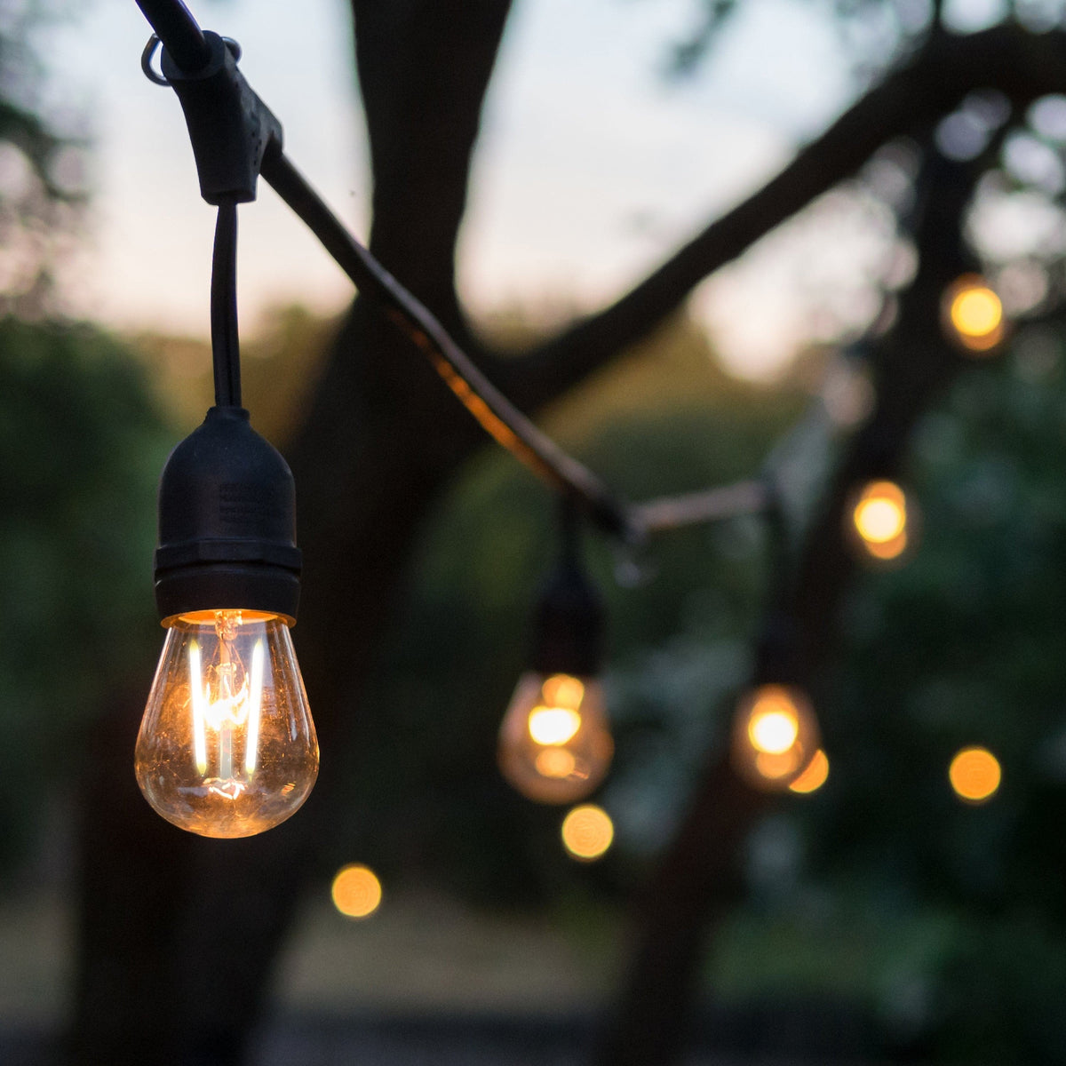 4lite Festoon Lighting Outdoor String Lamps with E27 Screw Warm White LED Bulbs