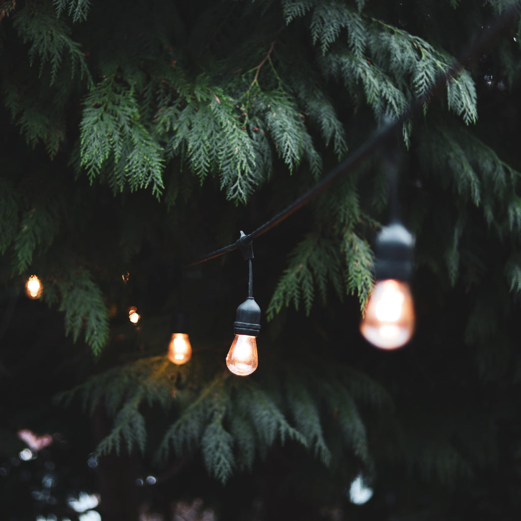 4lite Festoon Outdoor String Light E27 Screw Lamp Holders (Bulbs Not Included)