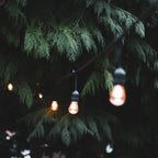 4lite Festoon Outdoor String Light E27 Screw Lamp Holders (Bulbs Not Included)