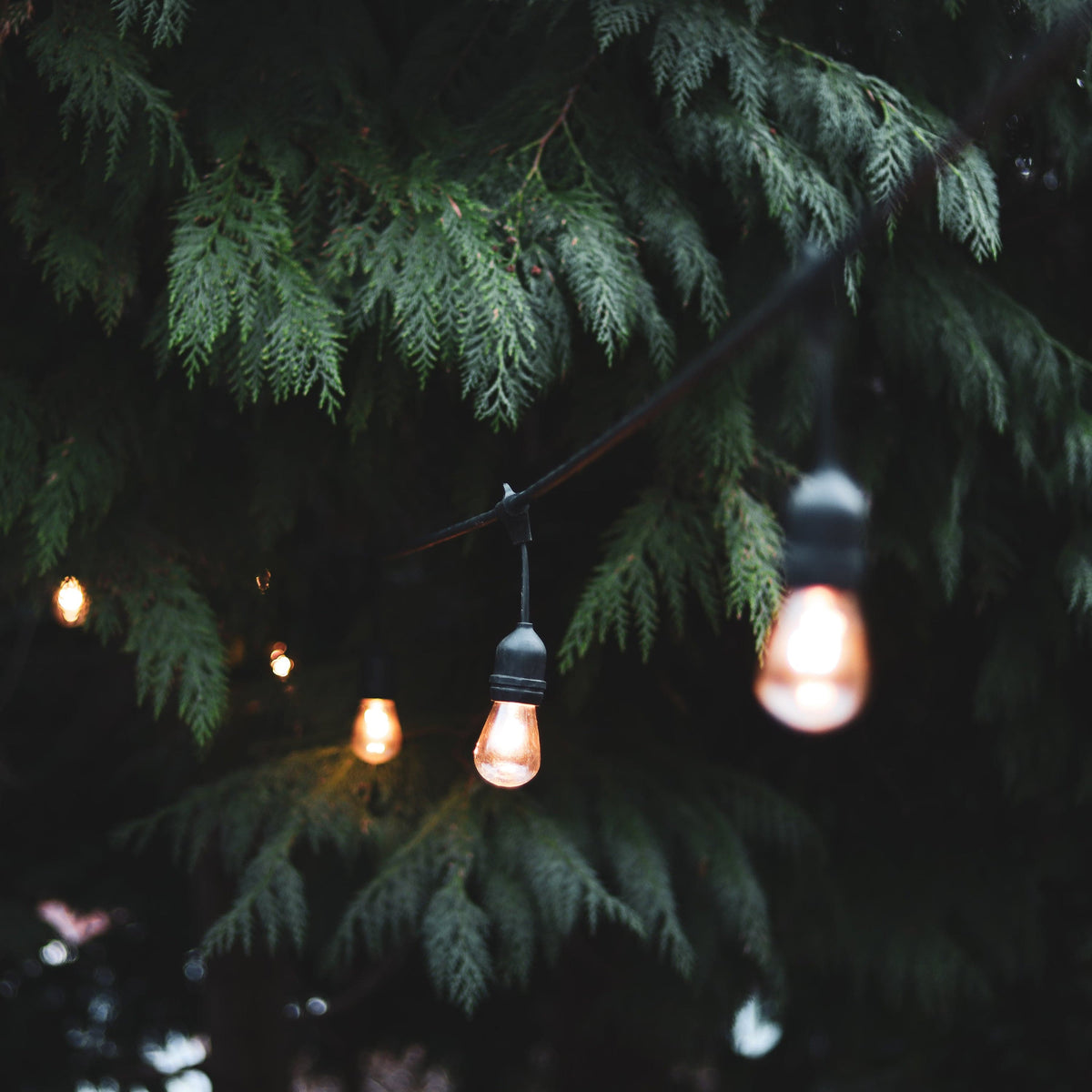 4lite Festoon Outdoor String Light E27 Screw Lamp Holders (Bulbs Not Included)