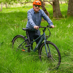 Emu Evo Step Through Electric Bike 250W