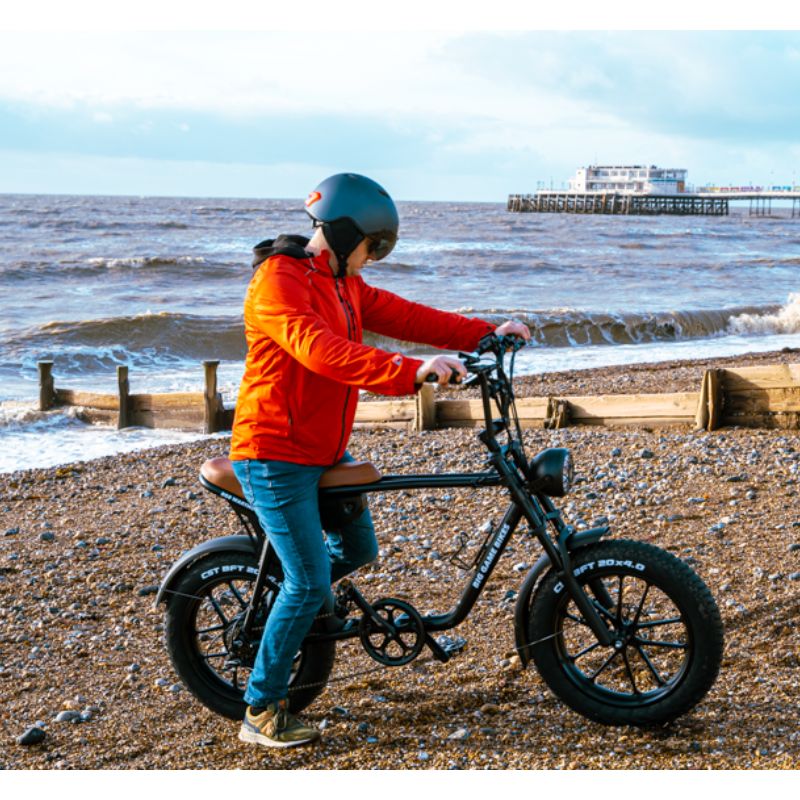 Big Game Bikes Warthog Fat Tyre Electric Bike 250W