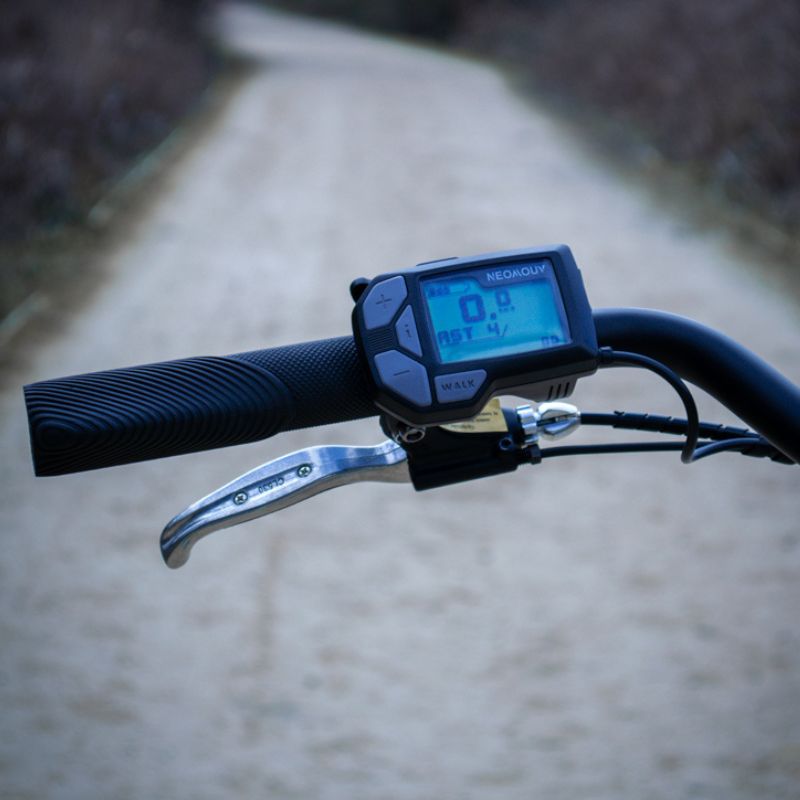 Juicy Bike Compact Plus Low Step Folding Electric Bike