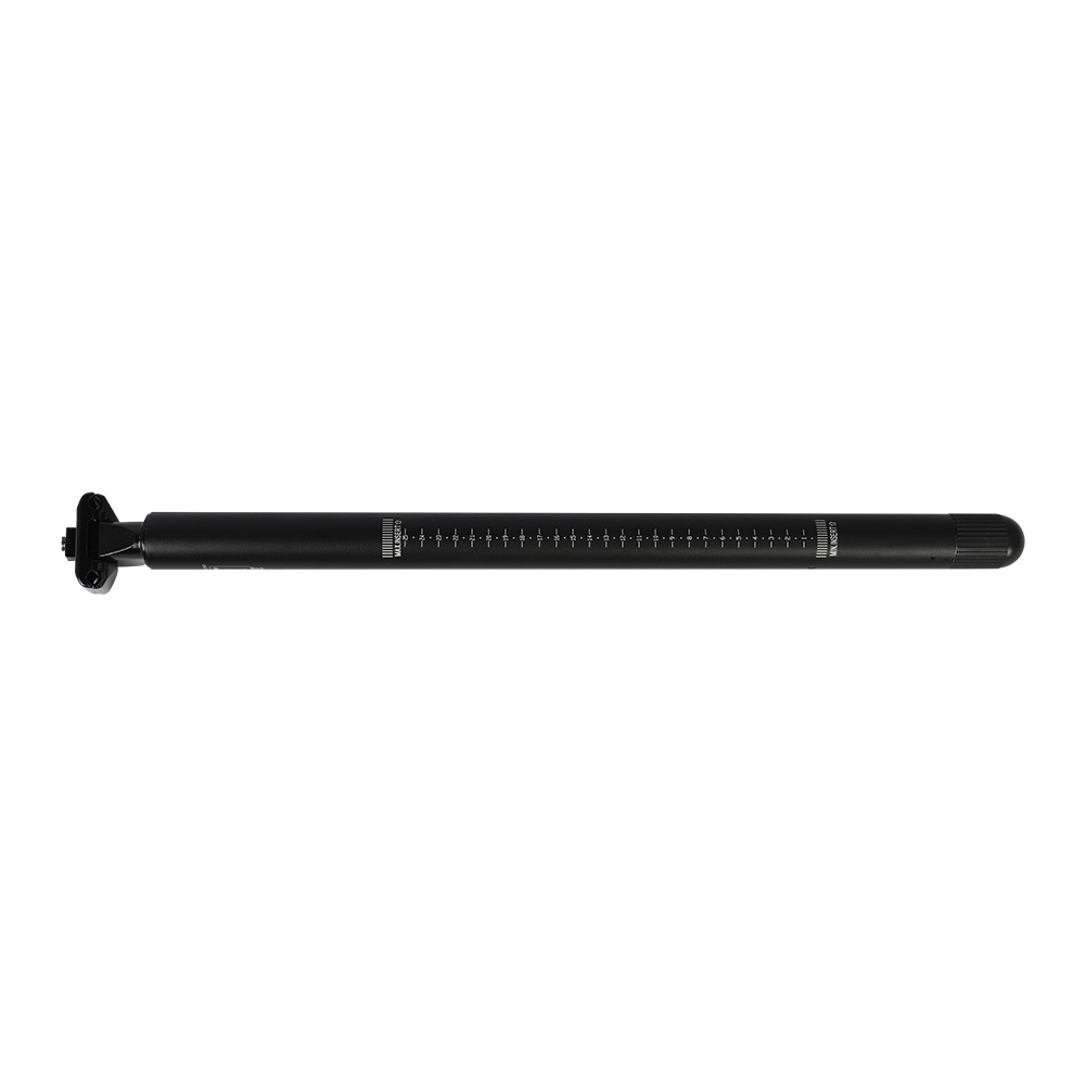Fiido Bike Pump Seatpost for L3/D2S/D4S/M1//M21/D3 Pro