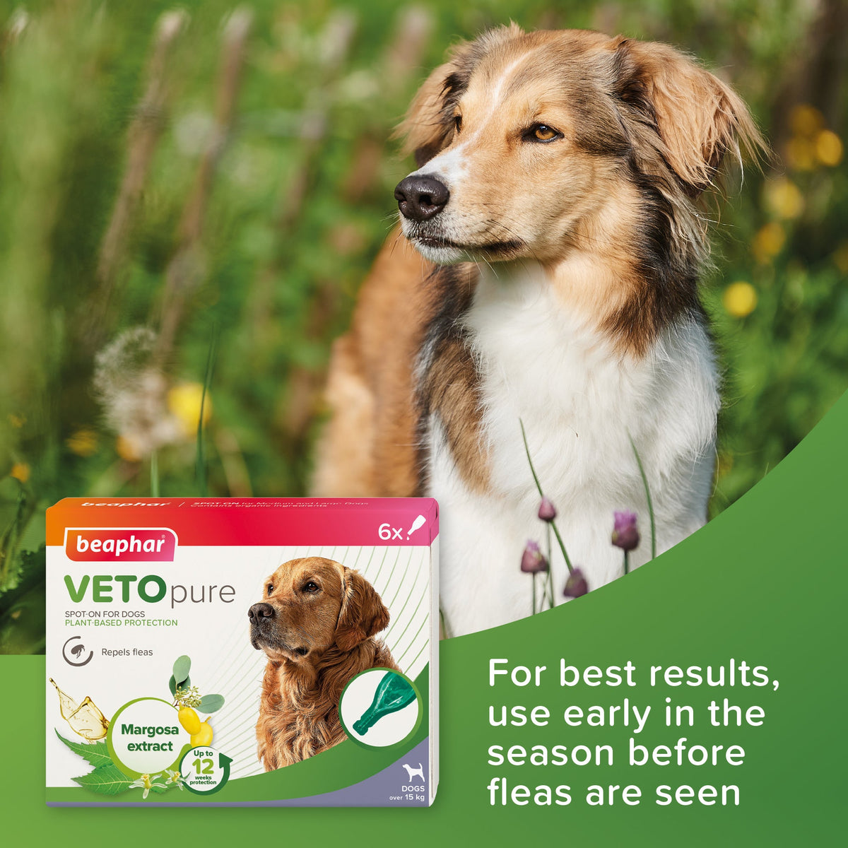 Beaphar VETOpure Medium/Large Dog Spot On