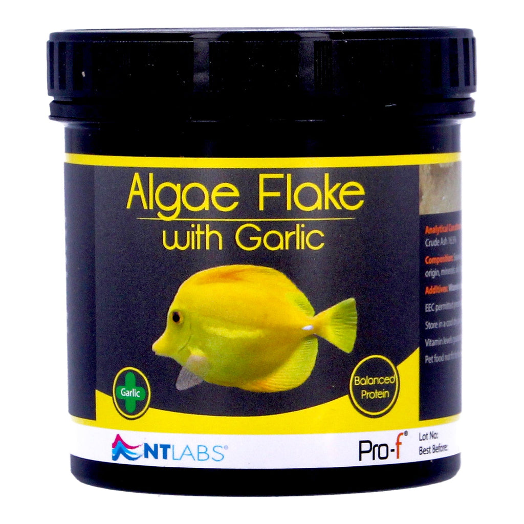 NT Labs Algae Flakes with Garlic for Herbivore Reef Fish