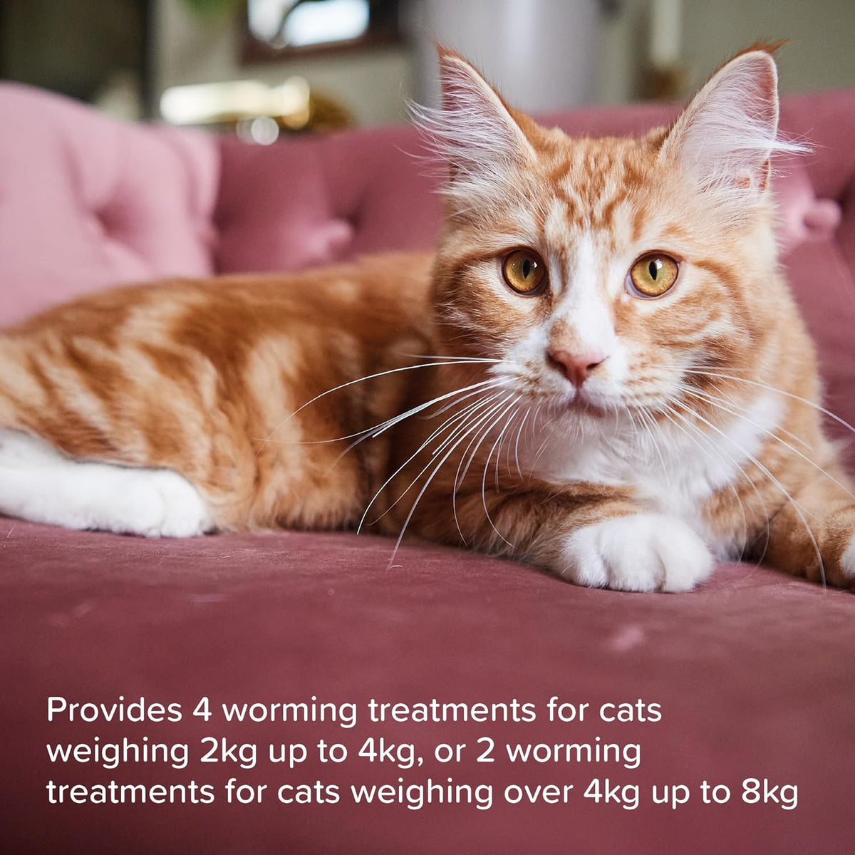 Beaphar WORMclear Tablets Cat 4 tabs
