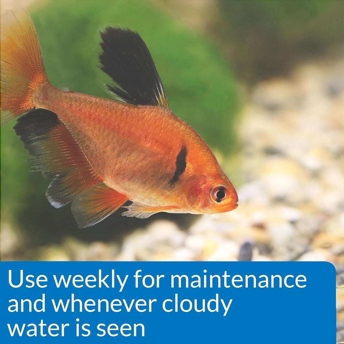 Bermuda Tapwater Conditioner - Instant Dechlorination for Ponds