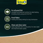 Tetra Pond Flakes 100g - Fish Food T366