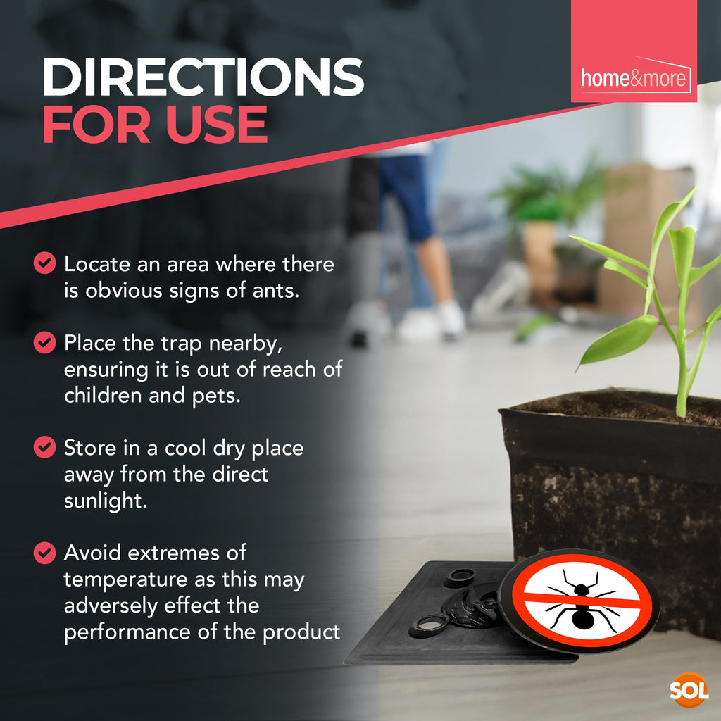 Ant Trap Bait Station | Stop Ants Killer Indoor & Outdoor | 6 Pack