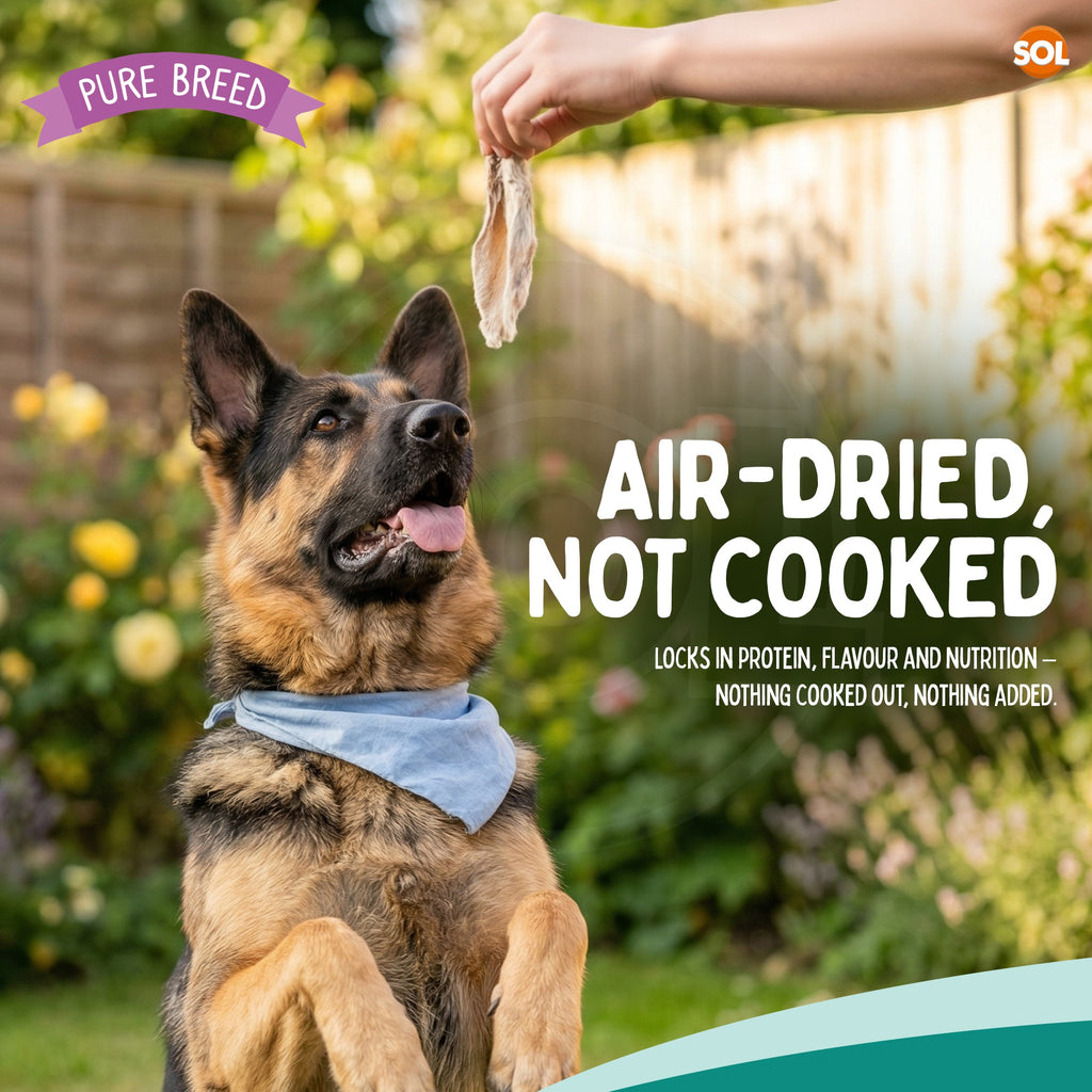 Pure Breed Rabbit Ears with Fur for Dogs – 300g (6 × 50g Bags) 100% Natural Air-Dried Chews Long-Lasting Snacks Grain-Free Single Ingredient Low Calories Rabbits Ears with Fur For Dogs Happy Pooch