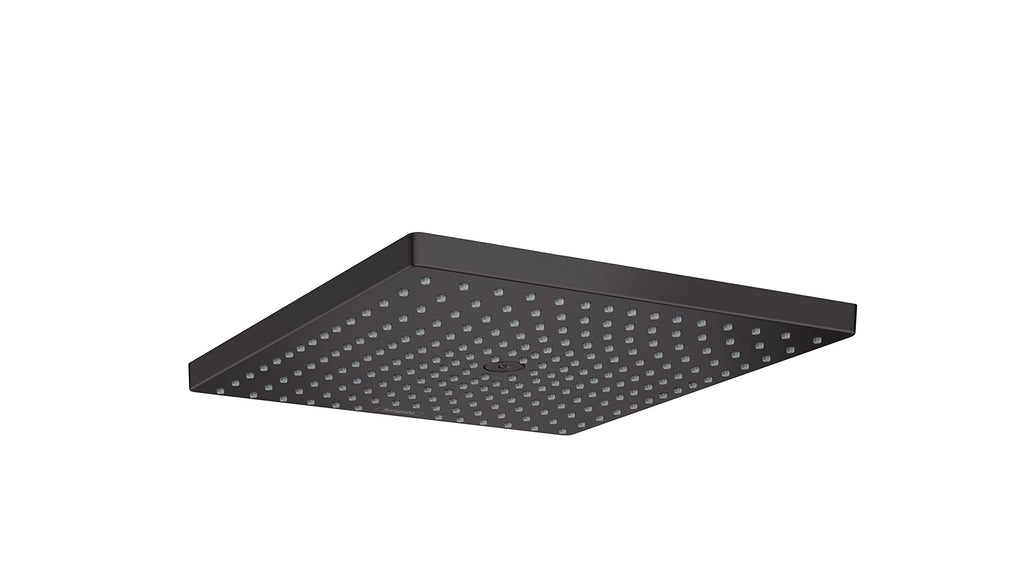 Open Box - Hansgrohe 26240671 - Shower Heads Showers
